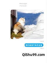 我们猫猫不能听这些小说