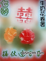 搭伙过日子[七零]小说