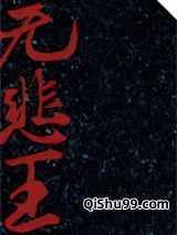 她坐拥江山，享无边孤独小说