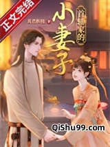 首辅家的小妻子小说