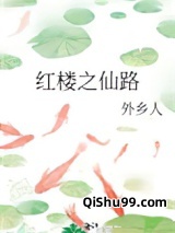 （红楼同人）红楼之仙路小说