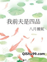 我前夫是四品小说