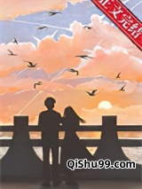 姐姐只爱你小说