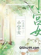 小宫女（美食）小说