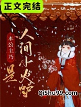 本公主乃是人间小火炉小说