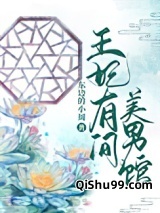 王妃有间美男馆小说