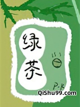 修界茶艺之争小说