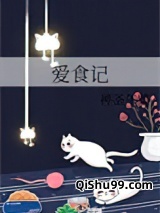 爱食记小说