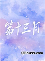 第十三月小说