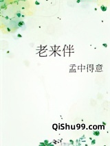 老来伴小说