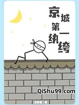 京城第一纨绔小说