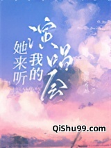 她来听我的演唱会小说