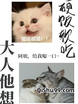 大人他想硬饭软吃小说