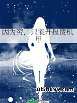 因为穷，只能开报废机甲小说