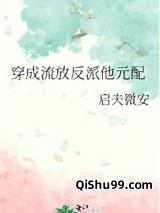 穿成流放反派他元配小说