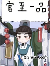 庶子的青云路（科举）小说