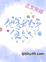 他等我分手很久了小说