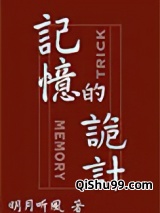 记忆的诡计小说
