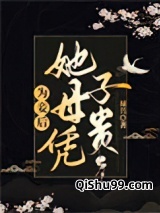为妾后她母凭子贵小说