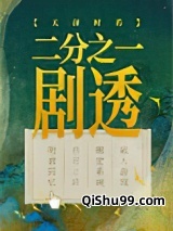 二分之一剧透小说