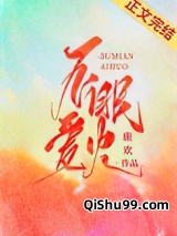 不眠爱火[娱乐圈]小说