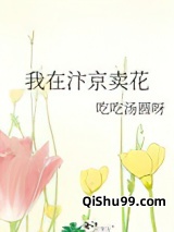 我在汴京卖花小说