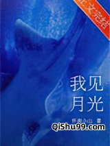 我见月光小说