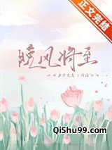 晚风将至小说