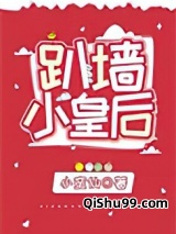 趴墙小皇后小说