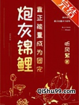 炮灰锦鲤靠正能量成为团宠小说