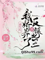 重生后，我娇养了反派镇北王小说