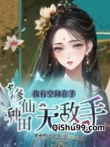 我有空间在手，修仙种田无敌手小说
