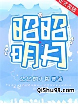 昭昭明月（双重生）小说