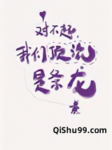 对不起，我们顶流是条龙！小说