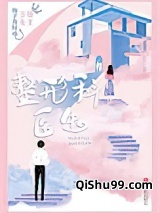 整形科医生小说