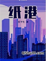 纸港小说