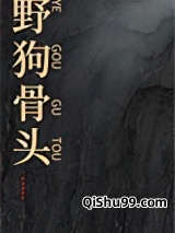 野狗骨头小说