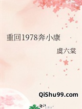 重回1978奔小康小说