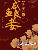 清穿之咸鱼良妾[红楼]小说