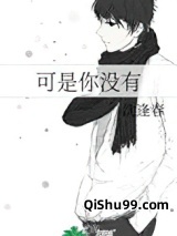 可是你没有小说