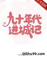 九十年代进城记小说