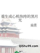 重生成心机纨绔的黑月光小说