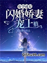 好孕成双：闪婚娇妻宠上瘾小说