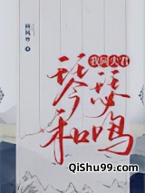 我同夫君琴瑟和鸣小说