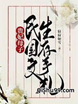 贵妃母子民国文生存手札小说
