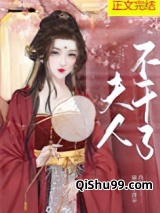 夫人不干了小说