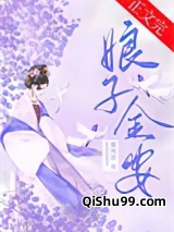 娘子金安小说