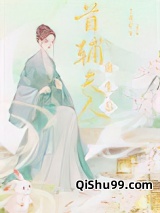 首辅夫人重生后小说