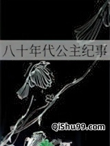 八十年代公主纪事小说