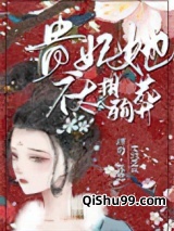 贵妃她不太想殉葬小说